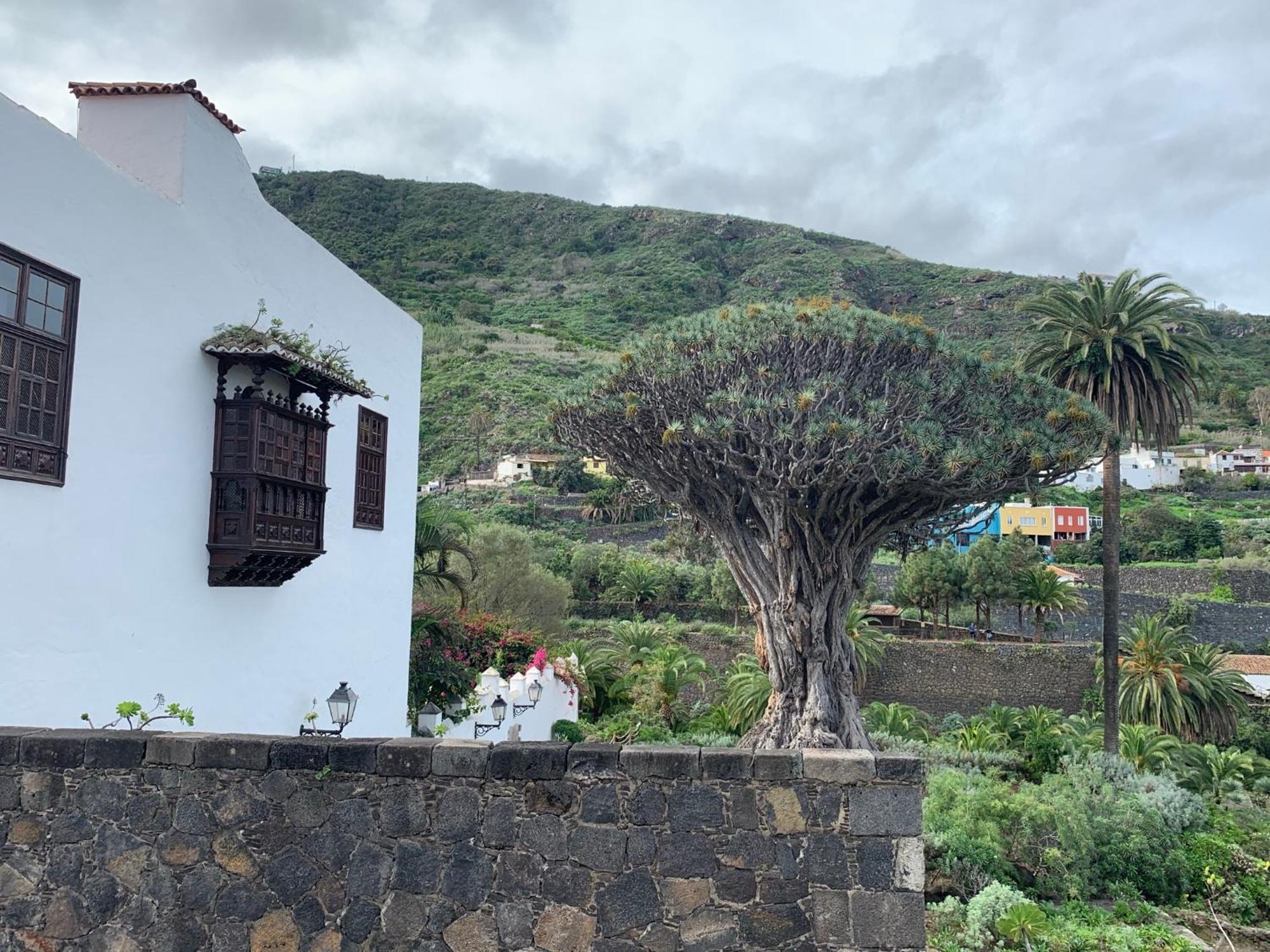 Casa La Baja Villa Garachico  Exterior foto